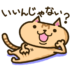 Brown cat "M"