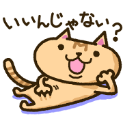 Brown cat "M"