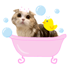 Milk stickers_nanami