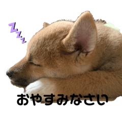 KUROSUKE_20200507215059