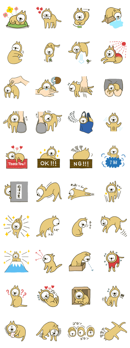 Mr. DogCat