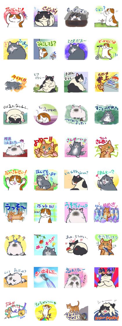 It's CAT CHAT