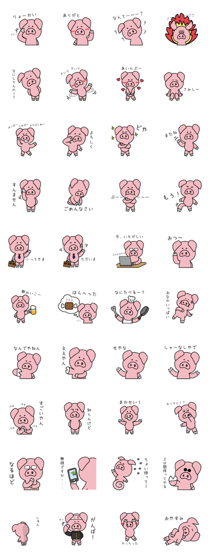 Boo-chan raised in Osaka