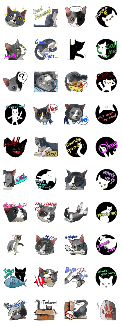 SelkirkRex Cat English Stickers