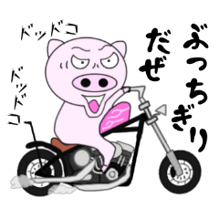 The pig began to ride a motorcycle 3rd