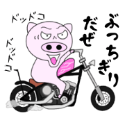 The pig began to ride a motorcycle 3rd