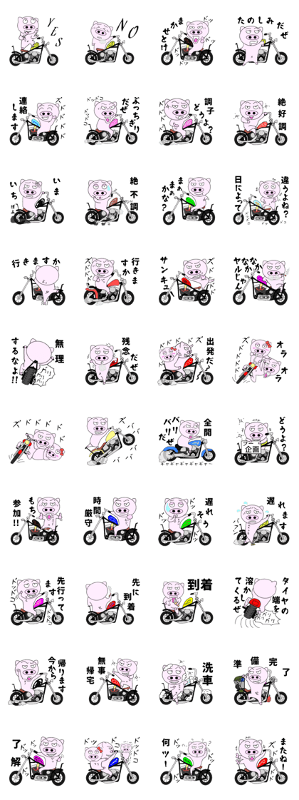 The pig began to ride a motorcycle 3rd