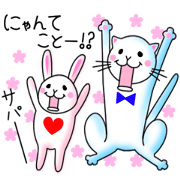 playful rabbit & shy cat