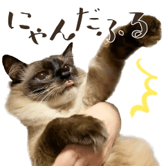 MAROcats Sticker