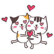 Little meow cat