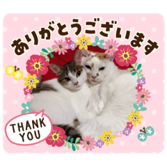 hapinessneko