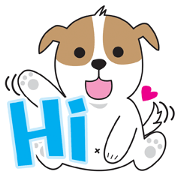 SOJU Little fat dog