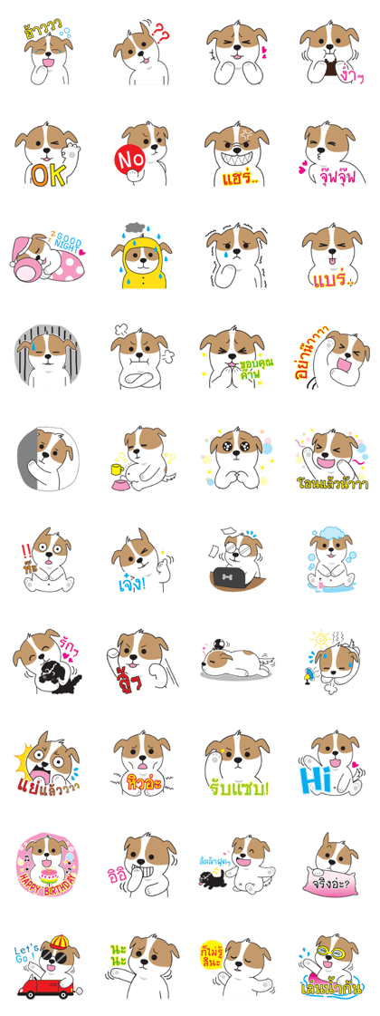 SOJU Little fat dog