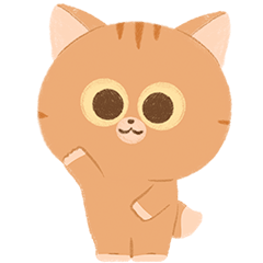 : Cute Orange Cat :
