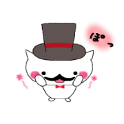 Gentleman cute cat