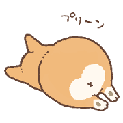 PURI PURI Corgi