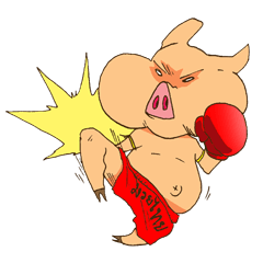 Moo-waan タイボクシング