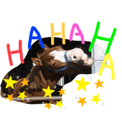 kazumi_20200508133418uma