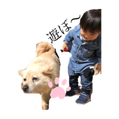 よろしくでーーす。