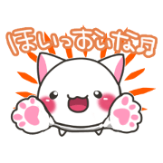Nanshin cat