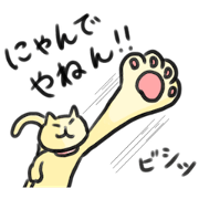 LOVELY PLAYFUL CAT