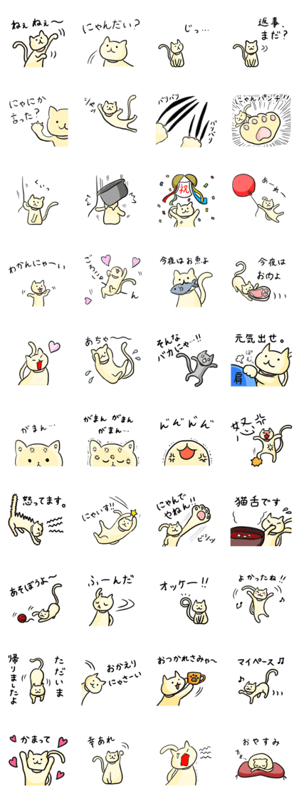 LOVELY PLAYFUL CAT