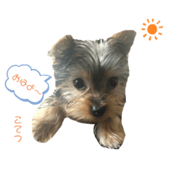 Mizuki_20200508091906