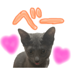 mokakakazubooqoo2000121211