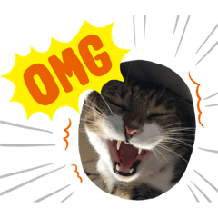 saori_20200508092228