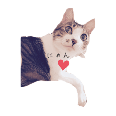 chiitan_20200508161157