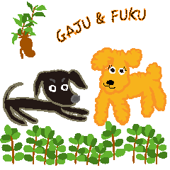 Gaju and Fuku