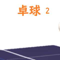 Three Star ping-pong NO.2