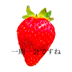 strawberry__