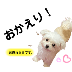 haruna_20200508160616