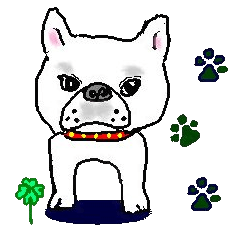 Name is wasabi in French Bulldog