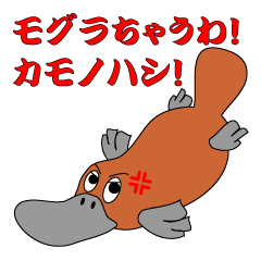 Not a mole! Platypus!