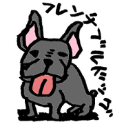 I MATAO, French Bulldog!!