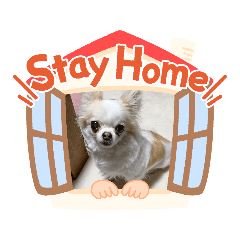 RuRi2_20200508205448