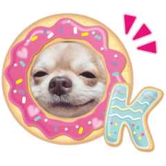 coolovelove