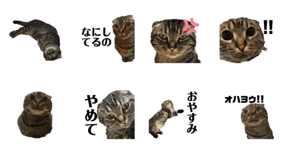 ねこのさんま Lineクリエイターズスタンプ Stamplist