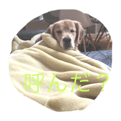 aoi_20200508195753