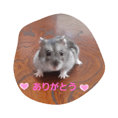 mina_20200508200103