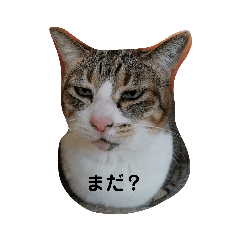 kazue_20200508213610