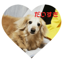 sayuri_20200508230608