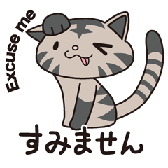 cat & japanese message 2