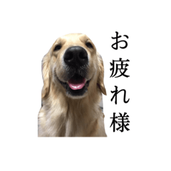 akiko_20200508234902