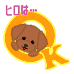 For Hiro-san(Toy-poodle)