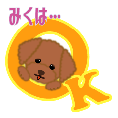 For Miku-san(Toy-poodle)