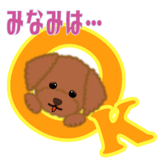 For Minami-san(Toy-poodle)