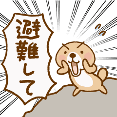 Rakko San Emergency Version Line Stickers Line Store Rakko San Emergency Version Line Stickers Line Store
